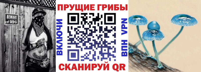 Купить закладки  Верхнеуральск  Галлюциногенные грибы прущие грибы 